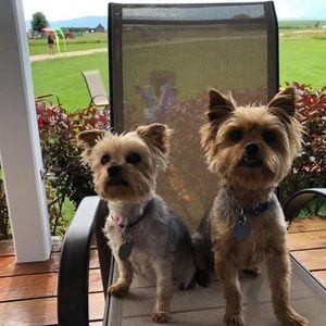 Meet your Posher, Stacy